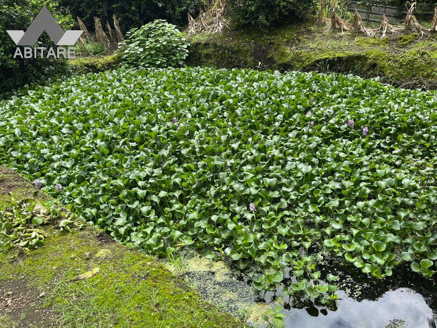 Terreno urbanizável